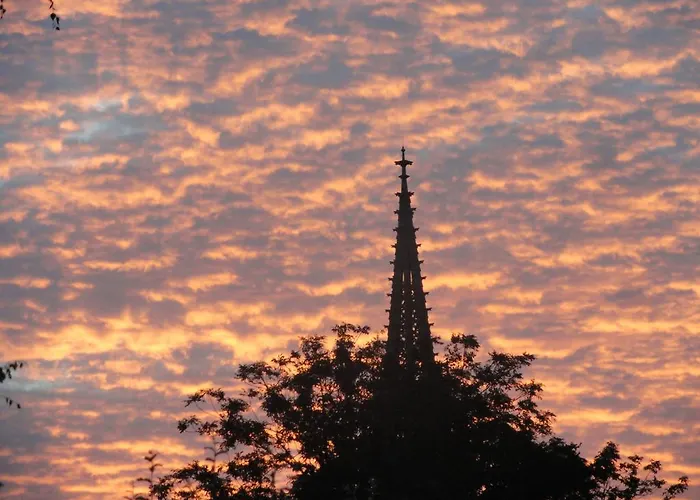 Restaurant Le Moschenross Hotel Thann